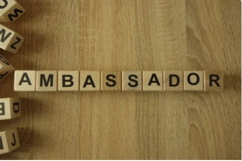 We Are Ambassadors